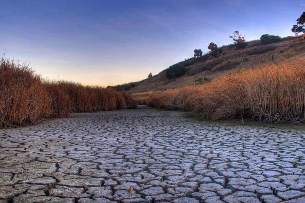 israel-combats-desertification-for-a-better-world
