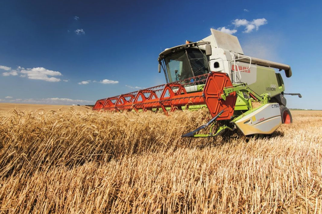 model-farm-in-israel-sowing-seeds-for-global-innovation