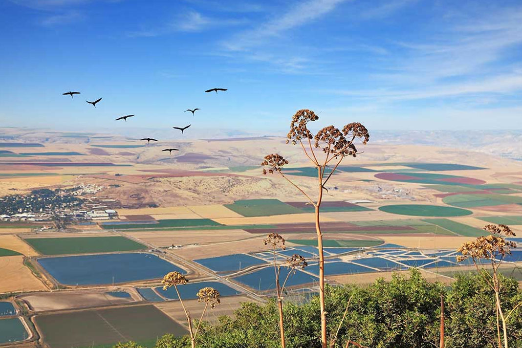 israel-cuts-industrial-air-pollution-by-half-in-one-decade