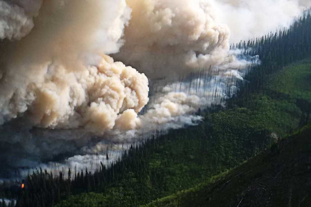 b-c-declares-state-of-emergency-as-nearly-600-wildfires-burn-across-the-province-canada