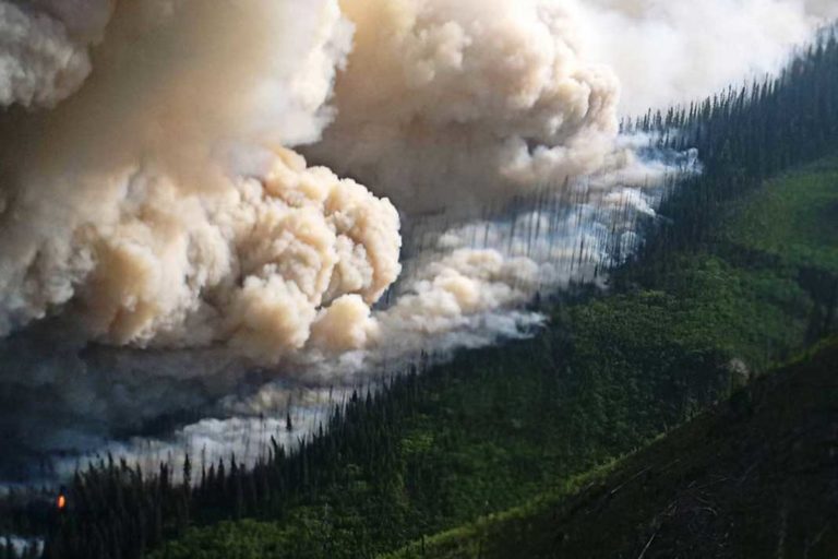 State Of Emergency Declared As nearly 600 Wildfires Burn Canada - JOY! News