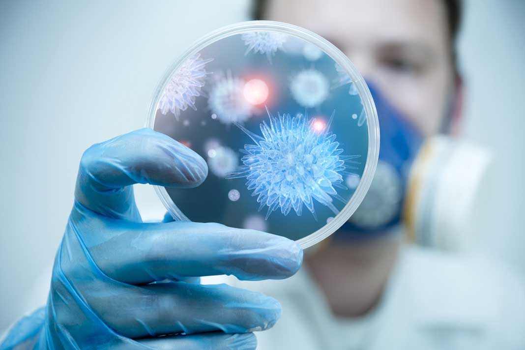 good-news-israel-cure-for-deadly-parasitic-disease-closer-coral-based-knee-replacement-and-much-more