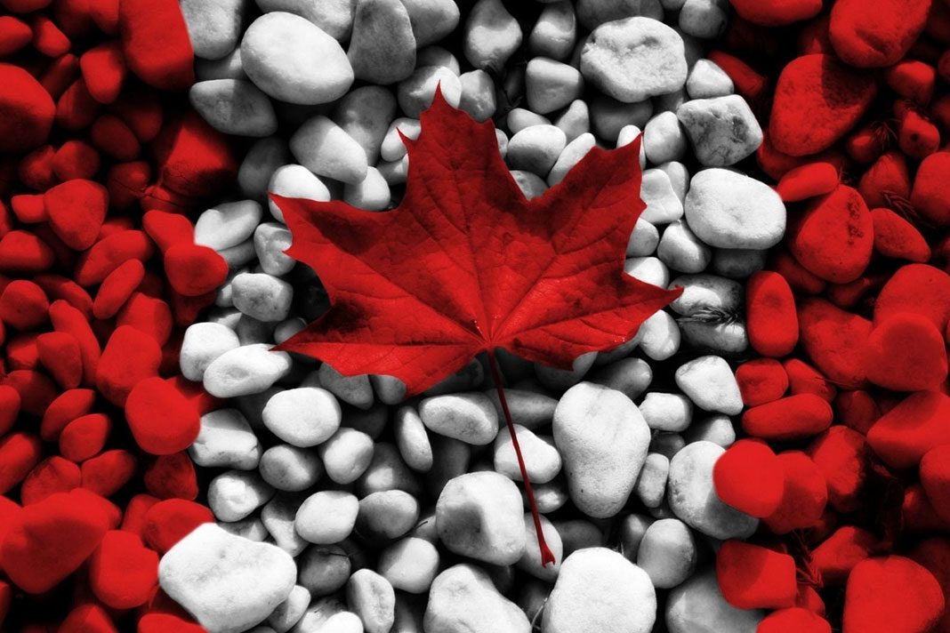 200-canadian-pastors-we-will-not-sacrifice-our-children-to-unhealthy-sexual-education