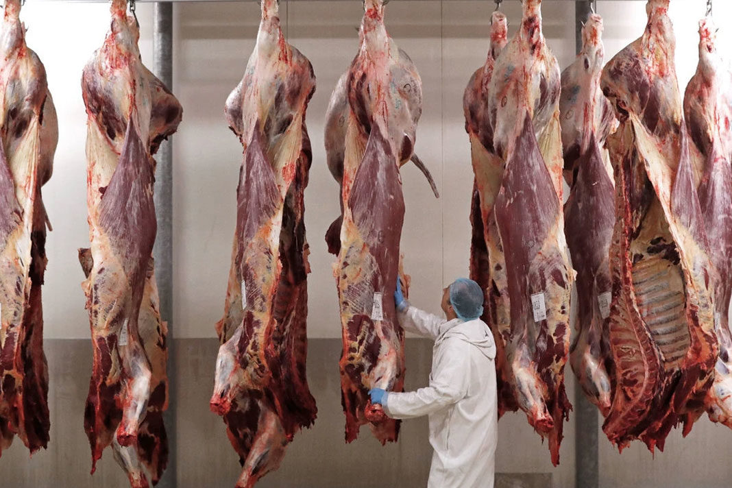 belgium-bans-religious-slaughtering-practices-drawing-praise-and-protest