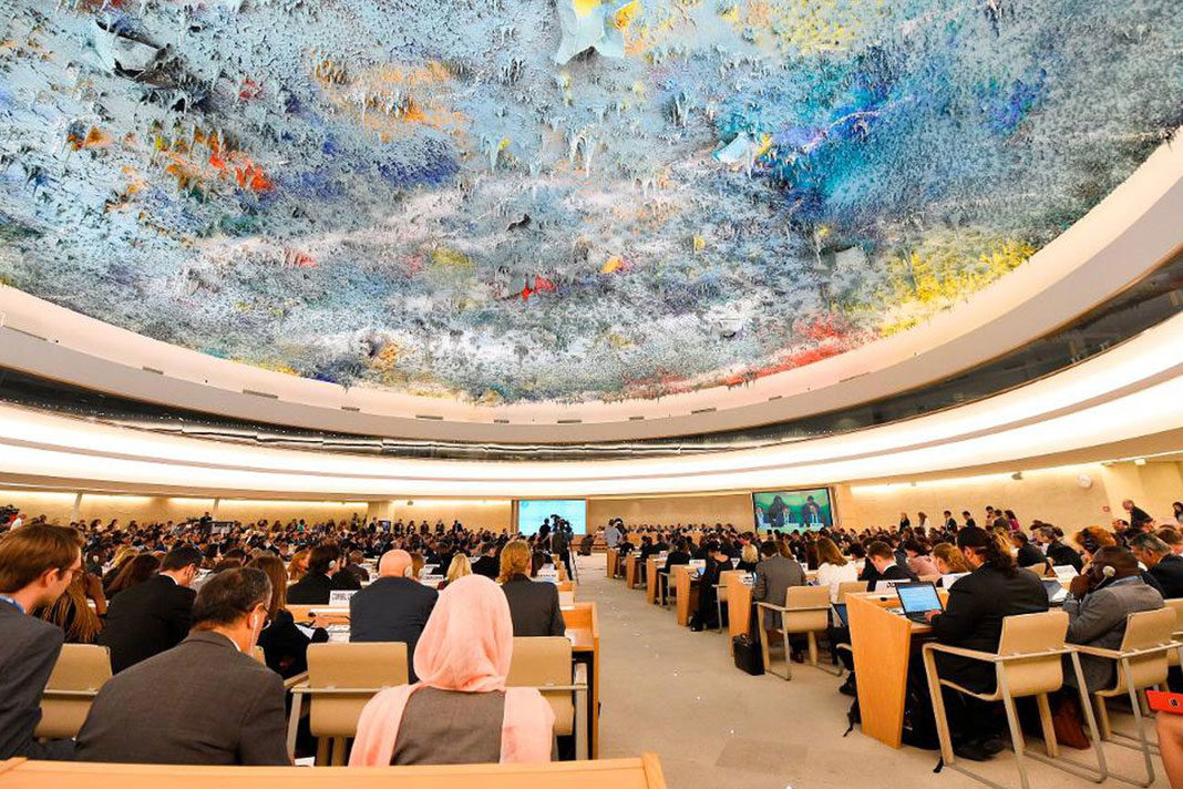 United Nations Human Rights Council