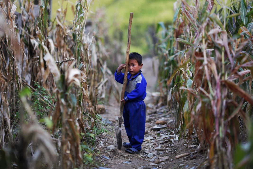north-korean-christians-warn-food-shortage-is-stunting-growth-of-children North Korean child