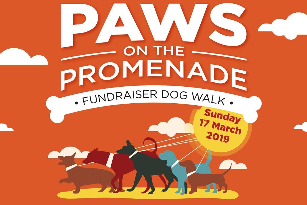 Paws on the Promenade
