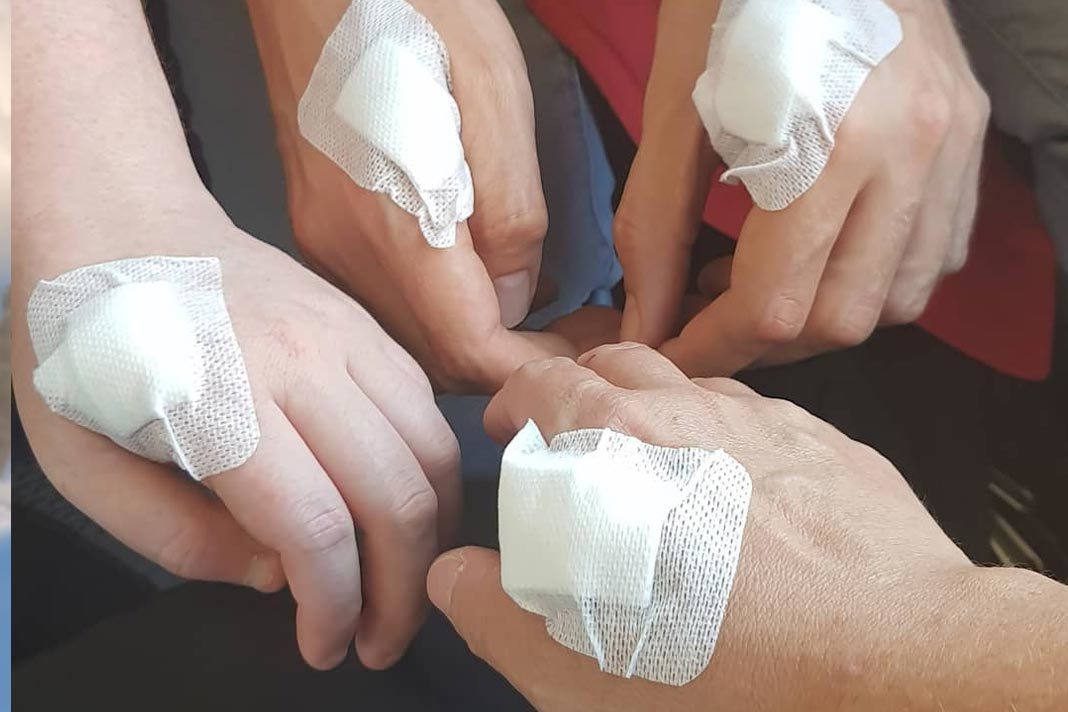 Swedish Microchipping Photos