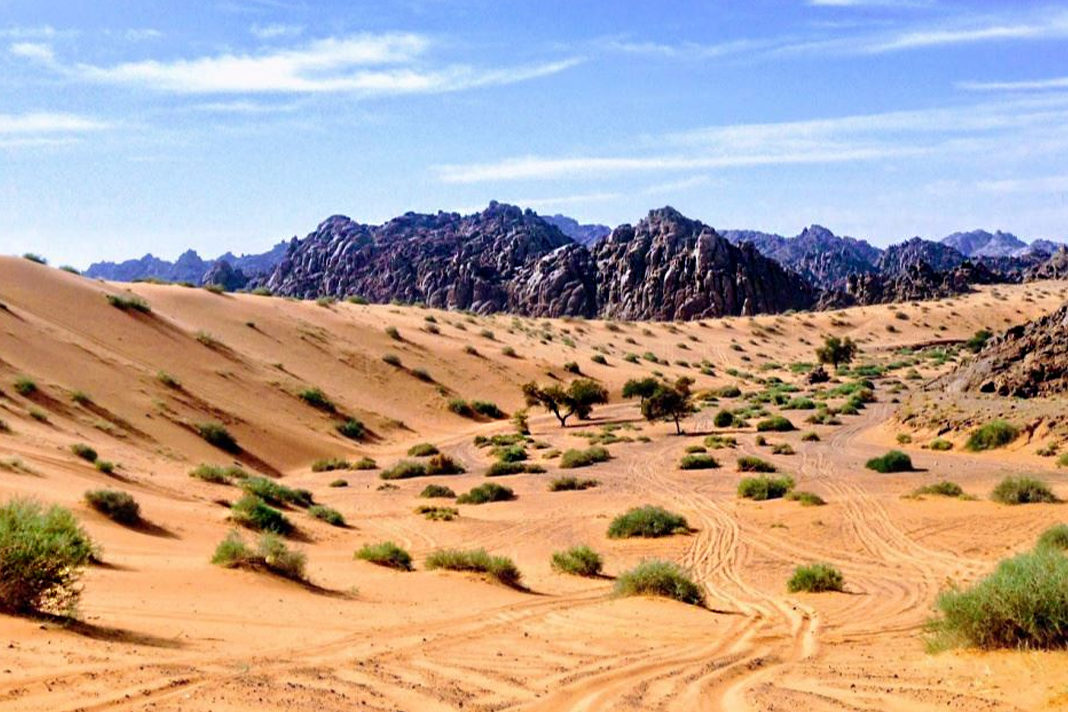 The Route Moses Took Out of Egypt