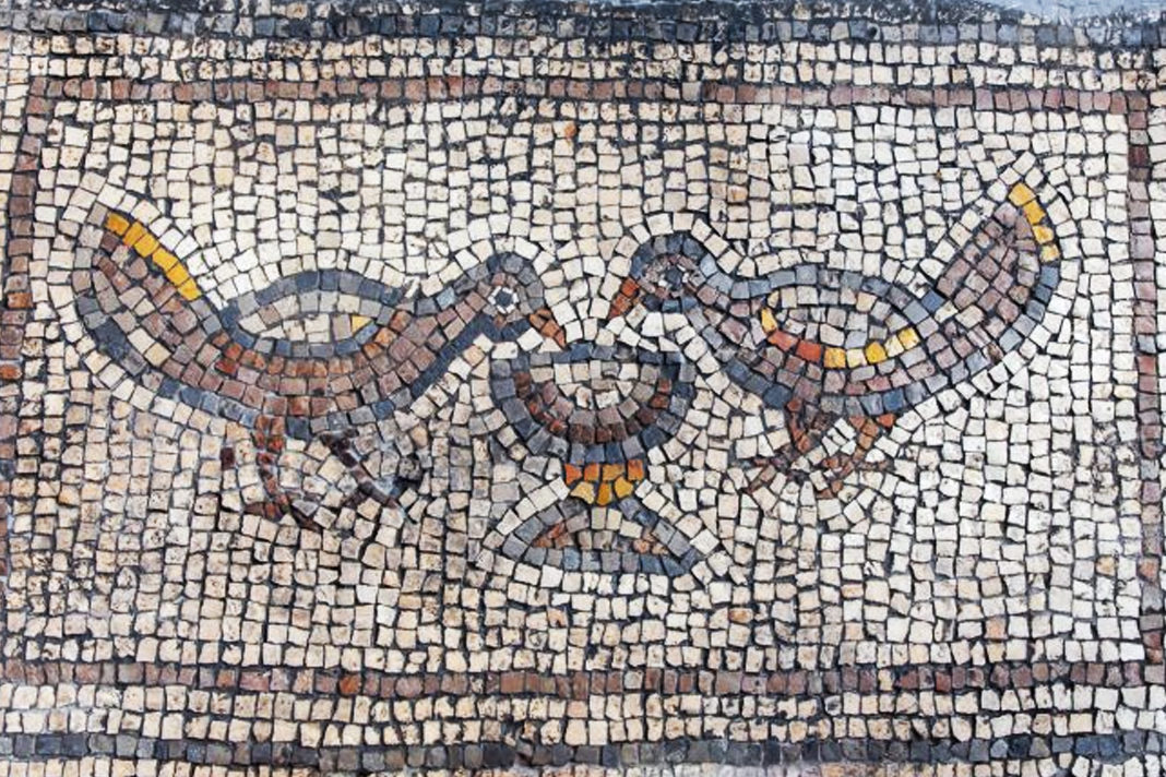 ancient-mosaic-in-burnt-church-in-galilee-depicts-miracle Hippos mosaic detail: birds drinking from a goblet of wine. Photo by Michael Eisenberg