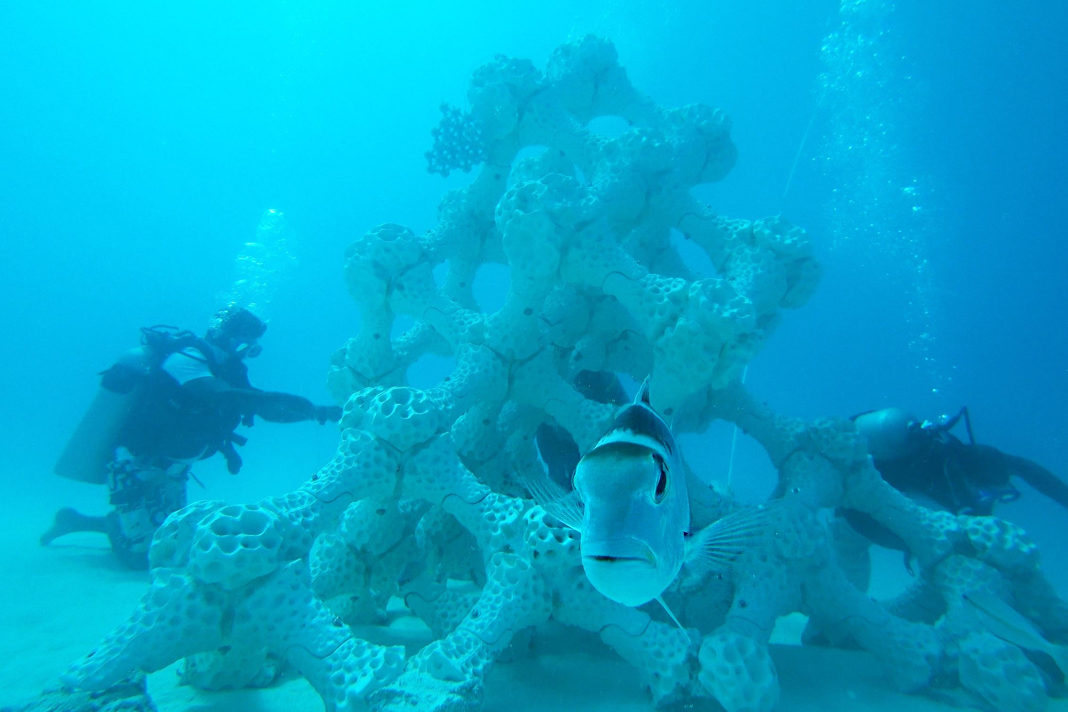 fish-are-big-fans-of-israeli-3d-printed-coral-reefs