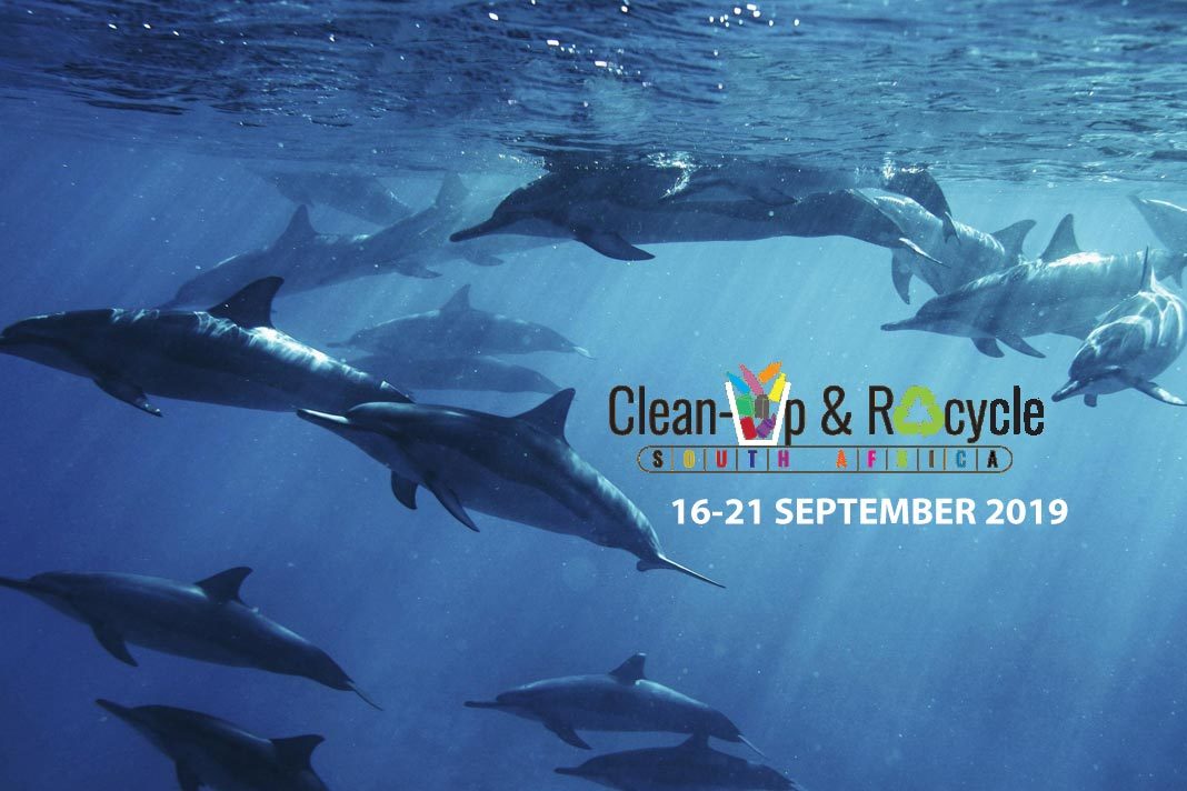 plastics-industry-tackles-waste-in-the-environment-with-annual-clean-up-and-recycle-sa-week Dolphins
