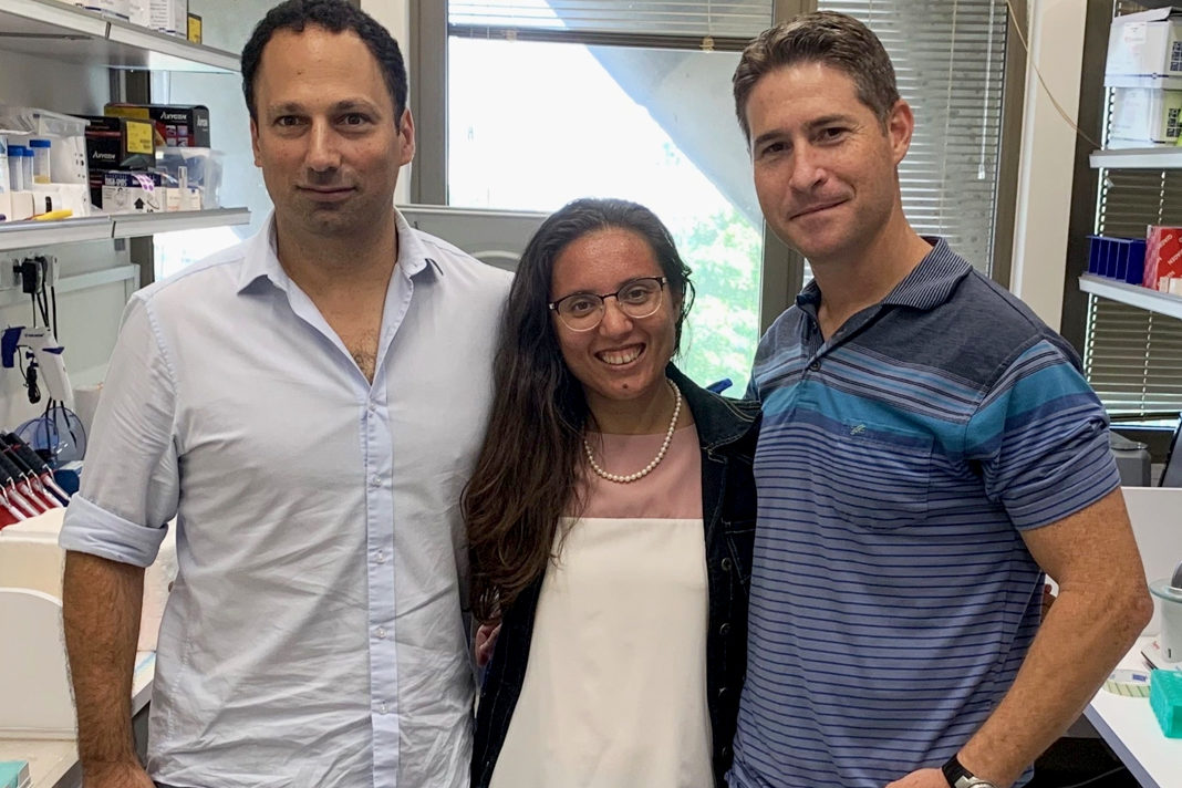 breakthrough-leukemia-immunotherapy-treatment-extends-to-other-cancers-israeli-research-finds