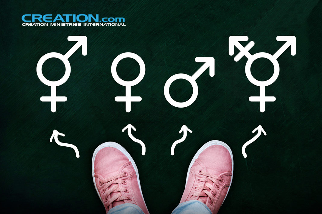 the-bbcteaching-british-school-children-to-celebrate-more-than-100-genders Gender signs