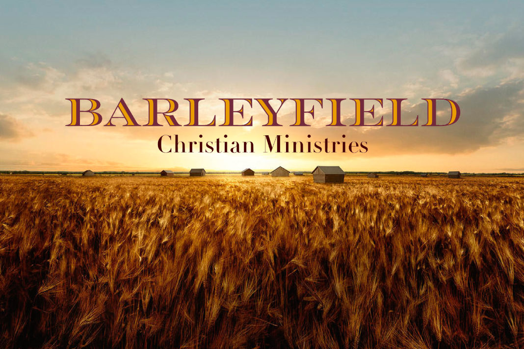 Barleyfield