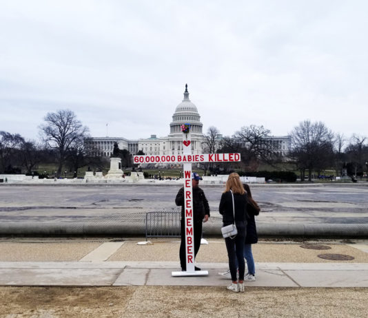 A demonstrator picked a spot away from the throngs of people who attended the 47th annual March for Life on Jan. 24. Photo by Micah Danney.