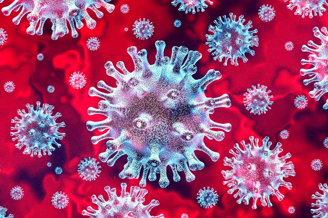 coronaviruses