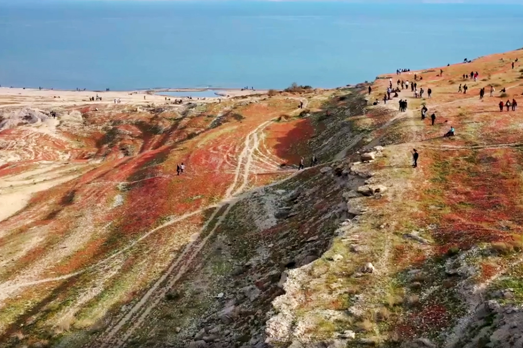 israels-blessed-rains-cause-dead-sea-to-be-surrounded-by-miraculous-wildflowers Flowers blooming at the Dead Sea Screenshot