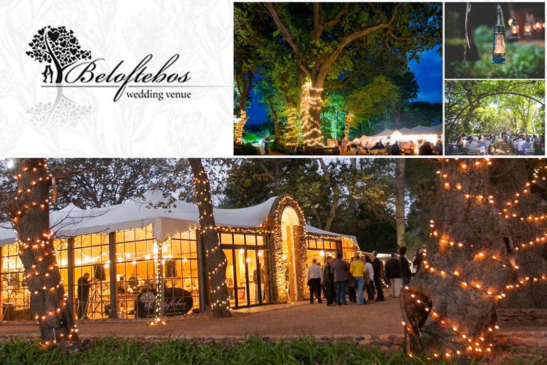 press-release-beloftebos-responds-to-sahrcs-legal-action-against-them beloftebos