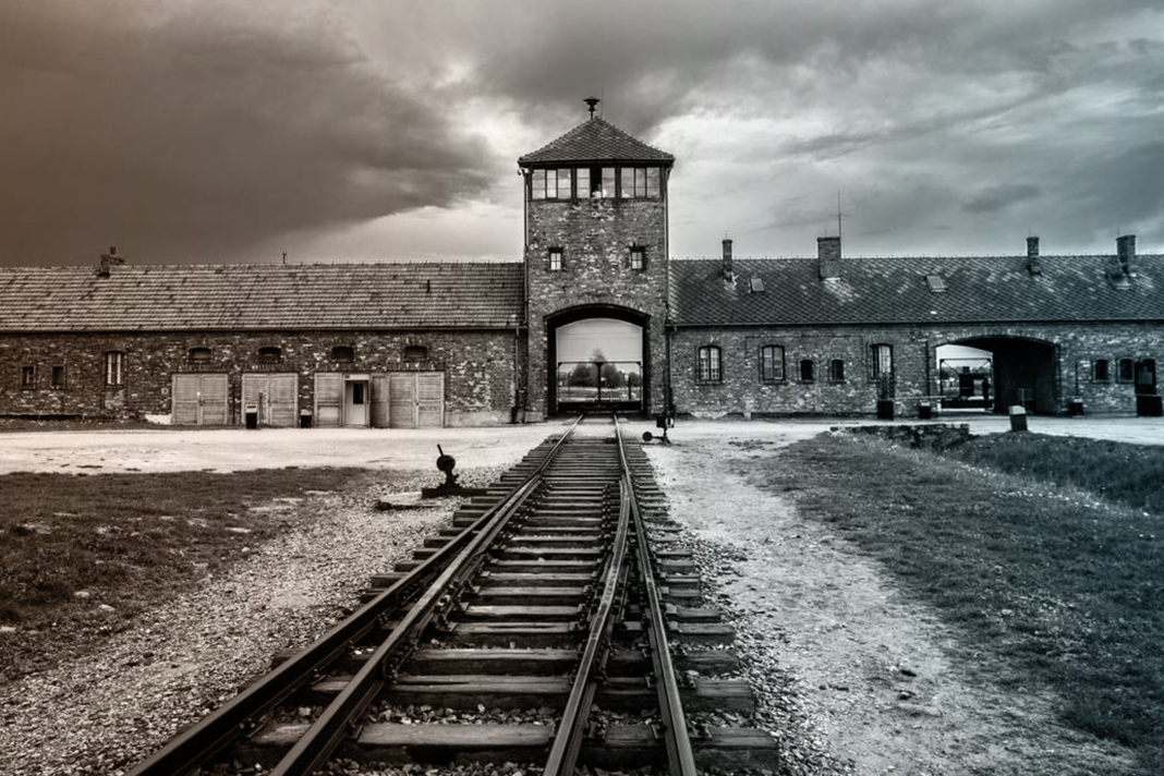 bodies-of-286-jews-murdered-in-holocaust-found-in-ukraine-basement holocaust