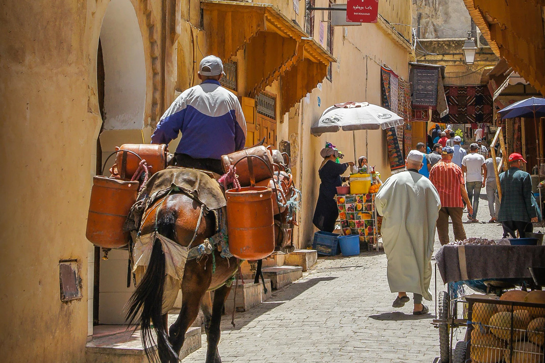 israeli-tourists-to-flood-morocco-in-wake-of-peace-deal Fes - Morocco / Street & Donkey