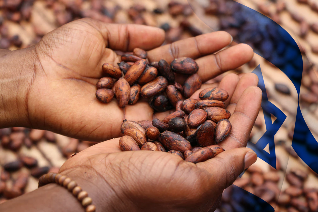 ghanas-cocoa-farmers-have-a-sweet-tooth-for-israeli-agri-tech cocoa beans