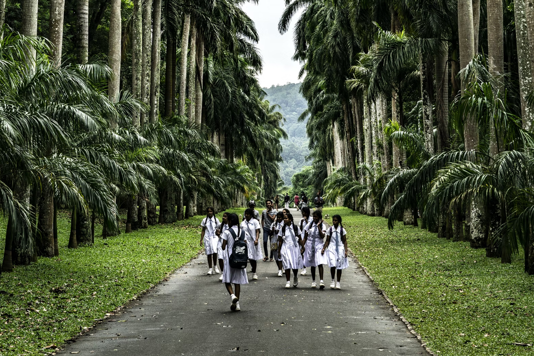 life-out-of-death-young-bombing-victim-in-sri-lanka-flourishes