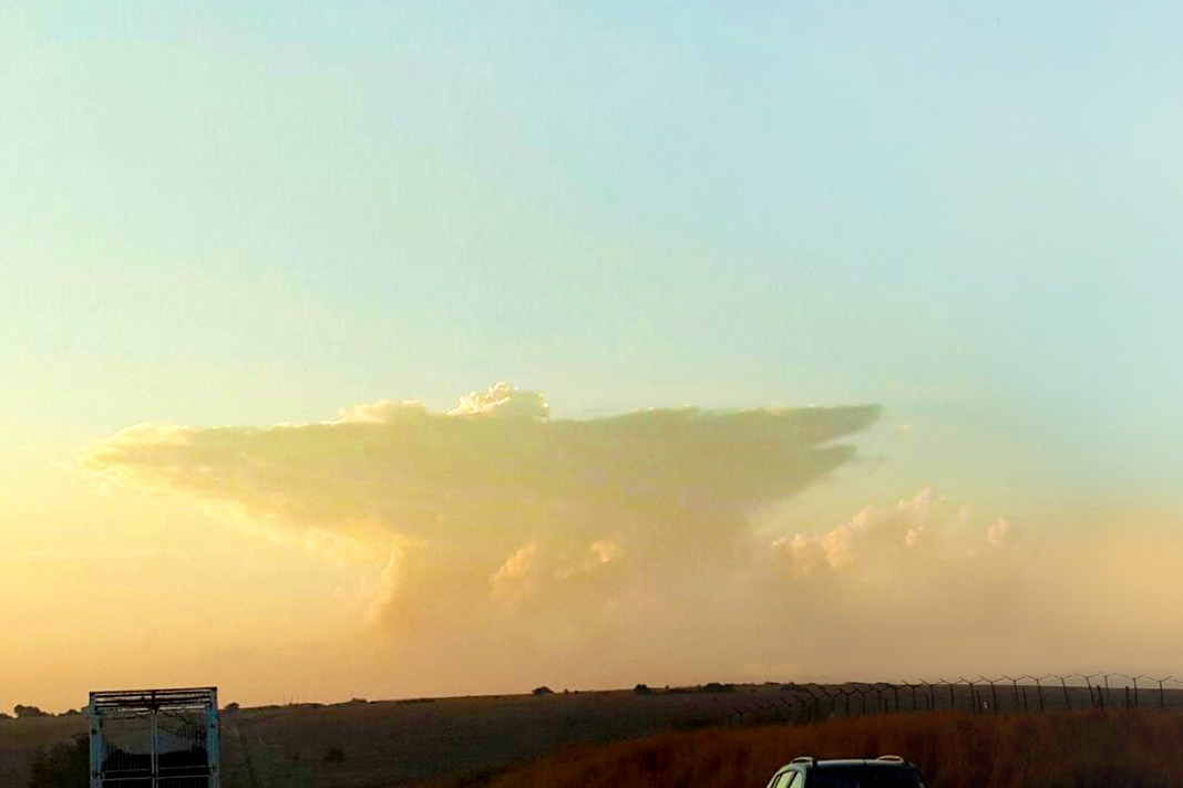 a-dove-in-the-clouds-over-pretoria