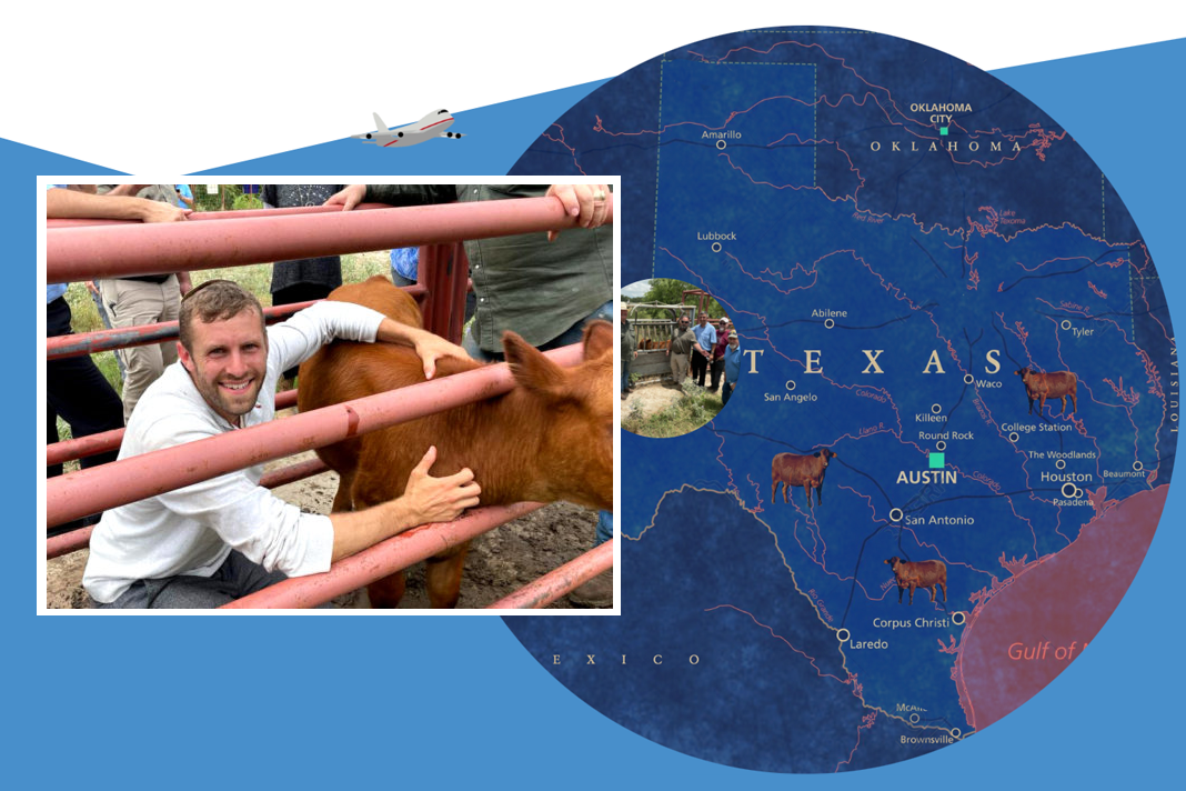 prophetic-partnership-christians-jews-search-for-perfect-red-heifer