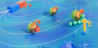 israeli-scientists-develop-medical-micro-robot-that-can-capture-damaged-cells