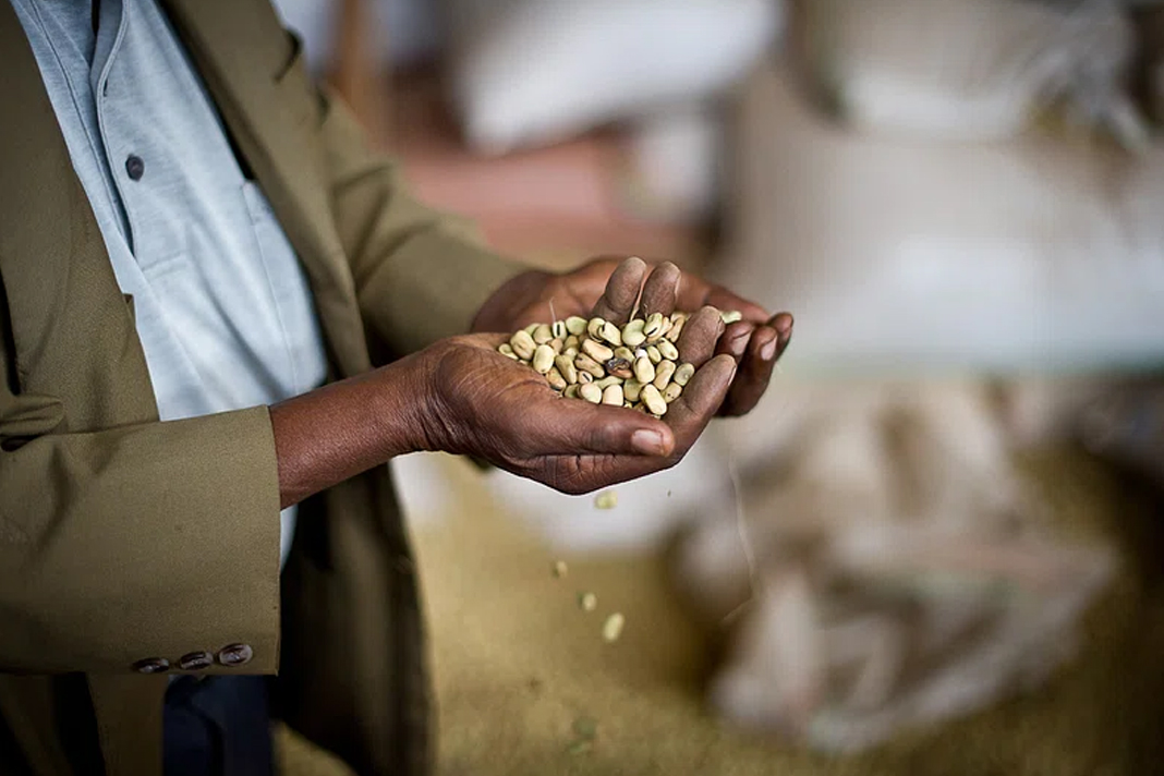 ethiopian-aid-theft-shines-light-on-wider-humanitarian-corruption ethiopian-aid-theft-shines-light-on-wider-humanitarian-corruption