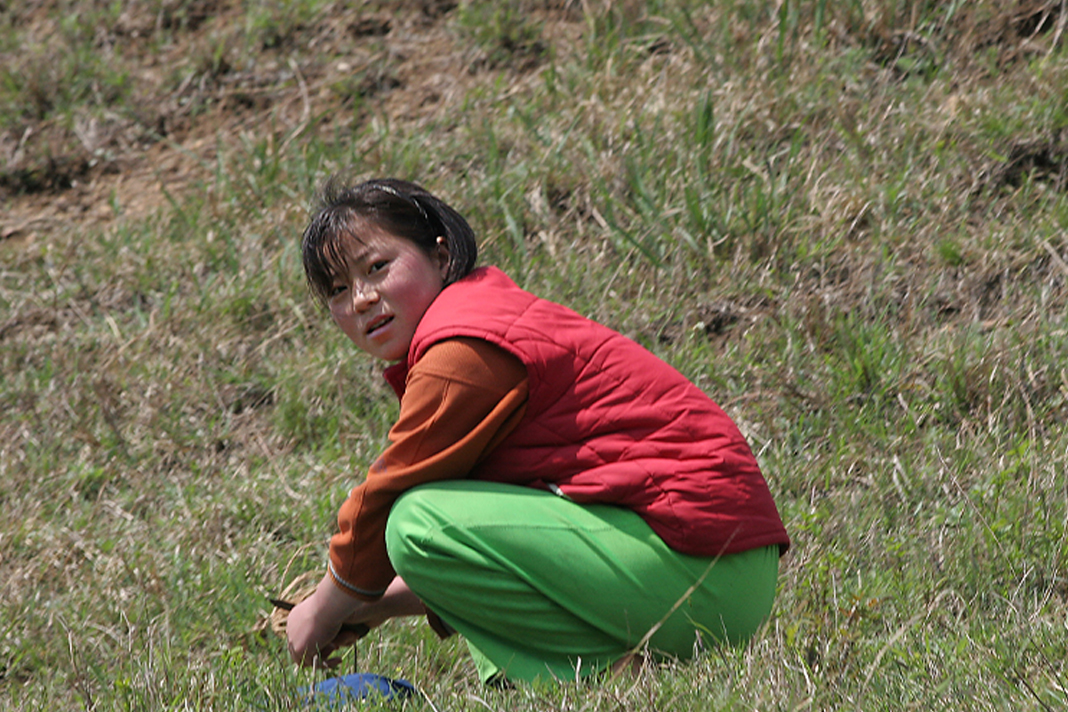 north-korea-pray-as-the-country-faces-a-brutal-food-shortage north-korea-pray-as-the-country-faces-a-brutal-food-shortage