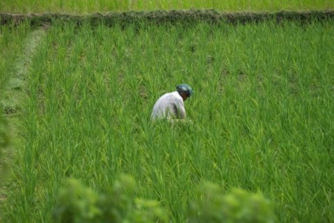 bangladesh-teen-finds-hope-future-in-christ bangladesh-teen-finds-hope-future-in-christ