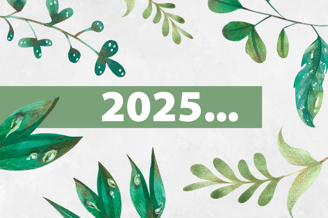 a-new-approach-to-the-new-year a-new-approach-to-the-new-year
