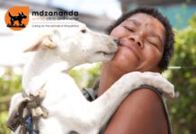 Mdzananda celebrates 30 years of caring, healing, educating and changing lives