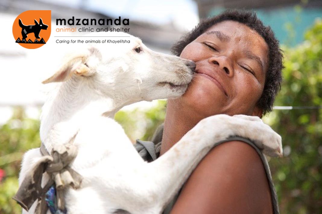 Mdzananda Animal Clinic